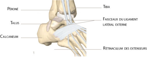 cheville ligamentoplastie